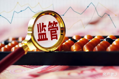 欲盖弥彰 多地查处房产经营贷，真的只有少量违规资金流入楼市？